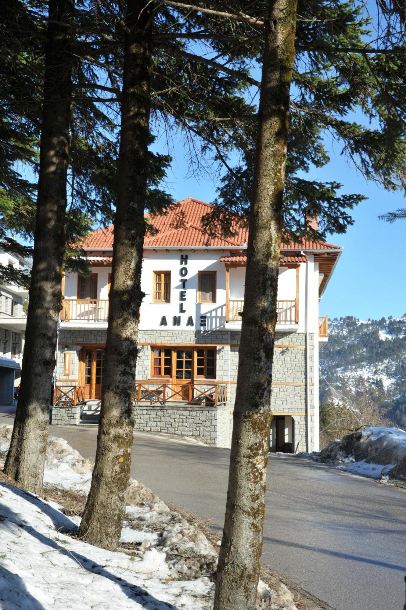 Hotel Anax Metsovo Exterior photo
